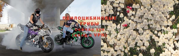 мяу мяу мука Кукмор