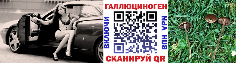 Купить закладки  Королёв  Псилоцибиновые грибы ЛСД 